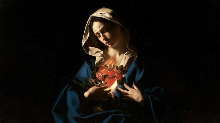The Immaculate Heart of Mary — Red Roses in Gentle Gloom