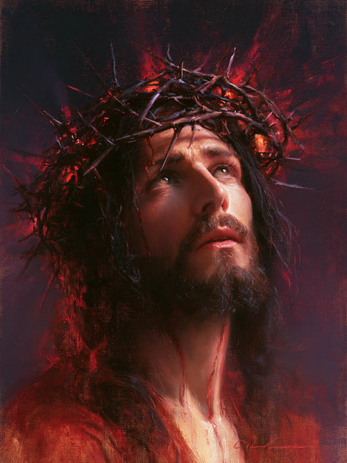 Jesus crowned with thorns with hidden glory in suffering in Hidden Glory in Suffering style, portrait Christian artwork no. 9