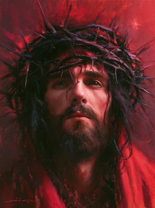 Jesus crowned with thorns with hidden glory in suffering in Hidden Glory in Suffering style, portrait Christian artwork no. 14